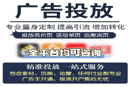 某品牌SEM推广策略的成效与启示